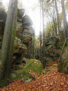 ??????????????????????